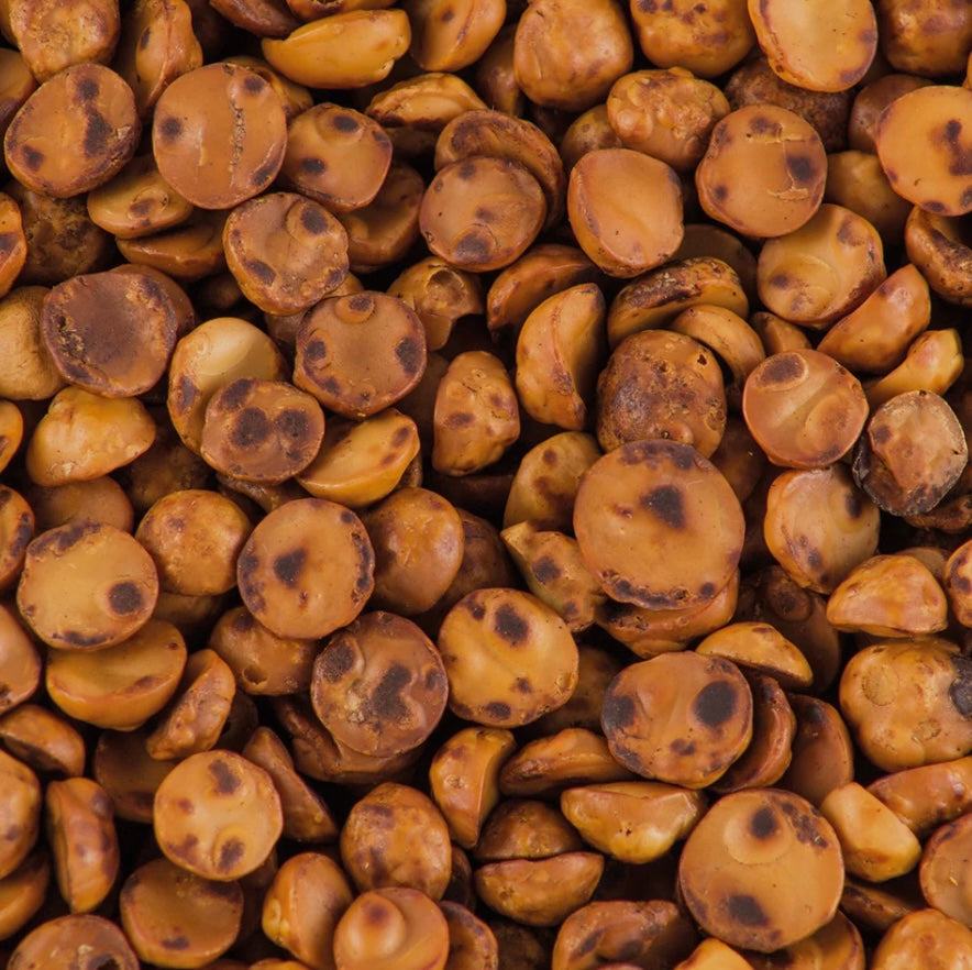 Avellana Chilena Tostada Premium