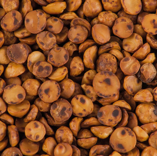 Avellana Chilena Tostada Premium