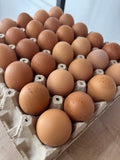 Huevos extra color Caja 180 unidades