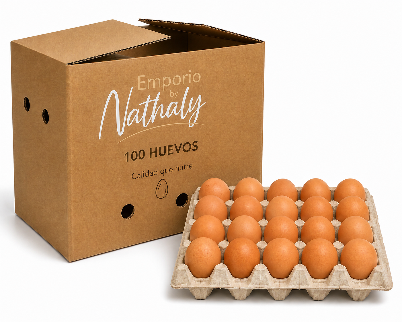 Bandeja 20 Huevos Súper Color de Gallina Libre